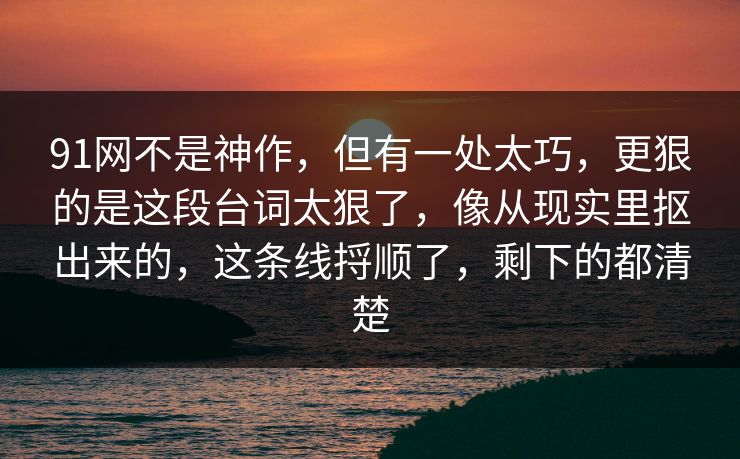 91网不是神作，但有一处太巧，更狠的是这段台词太狠了，像从现实里抠出来的，这条线捋顺了，剩下的都清楚