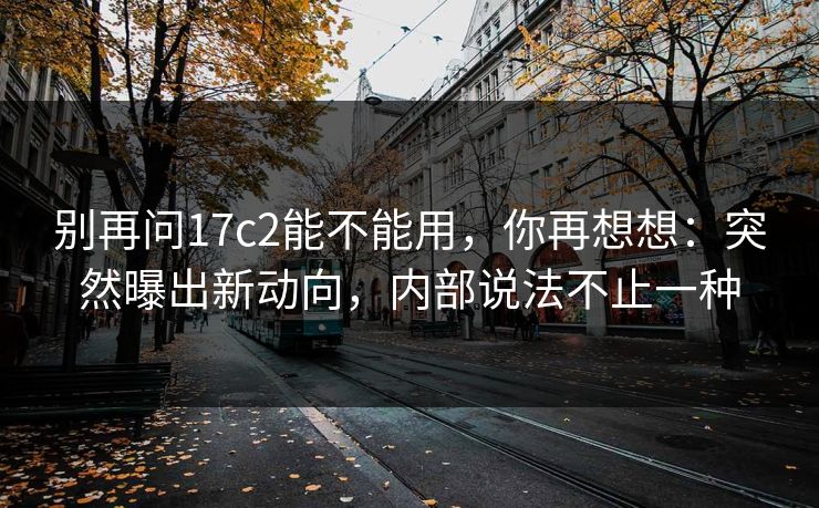别再问17c2能不能用，你再想想：突然曝出新动向，内部说法不止一种