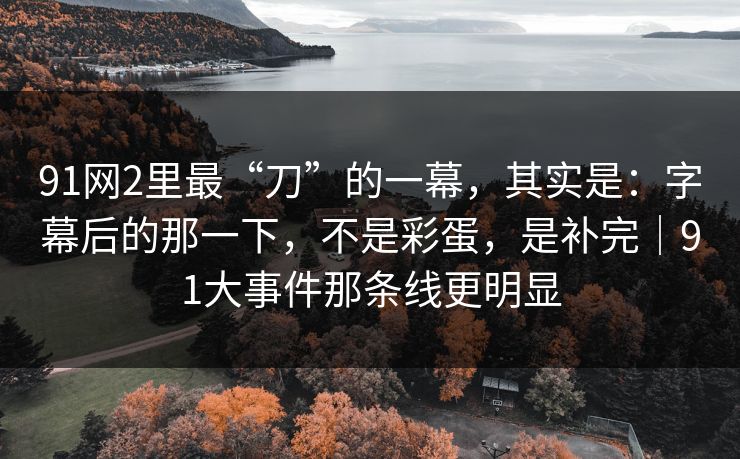 91网2里最“刀”的一幕，其实是：字幕后的那一下，不是彩蛋，是补完｜91大事件那条线更明显