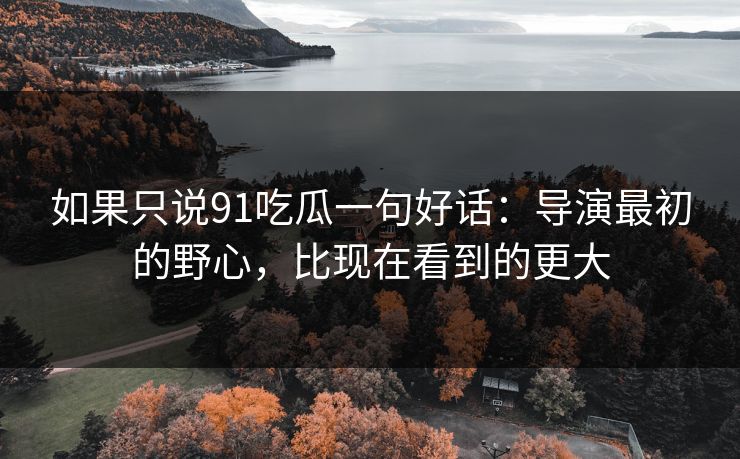 如果只说91吃瓜一句好话：导演最初的野心，比现在看到的更大
