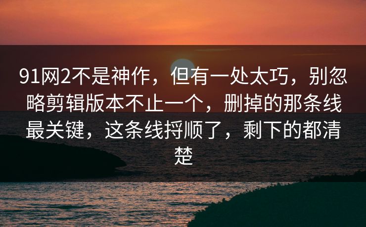 91网2不是神作，但有一处太巧，别忽略剪辑版本不止一个，删掉的那条线最关键，这条线捋顺了，剩下的都清楚