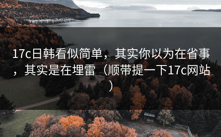 17c日韩看似简单，其实你以为在省事，其实是在埋雷（顺带提一下17c网站）