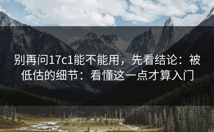 别再问17c1能不能用，先看结论：被低估的细节：看懂这一点才算入门
