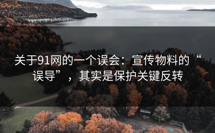 关于91网的一个误会：宣传物料的“误导”，其实是保护关键反转