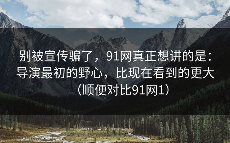 别被宣传骗了，91网真正想讲的是：导演最初的野心，比现在看到的更大（顺便对比91网1）